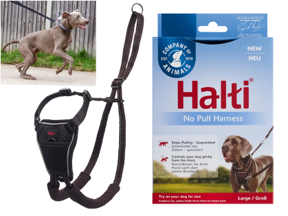 HALTI No Pull Harness black L