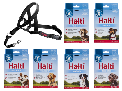 HALTI Headcollar noir