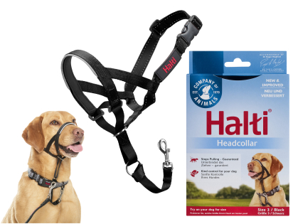 HALTI Headcollar black 3