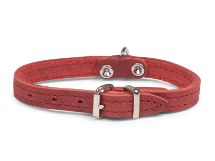 Collar oiled leather red 27cmx12mm XXS