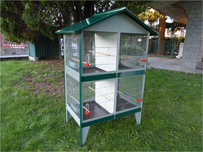 Aviary nr 15