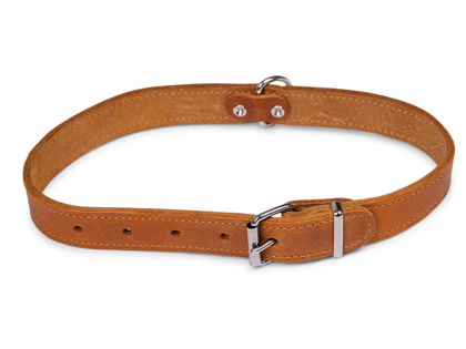 Collar oiled leather cognac 60cmx25mm XL