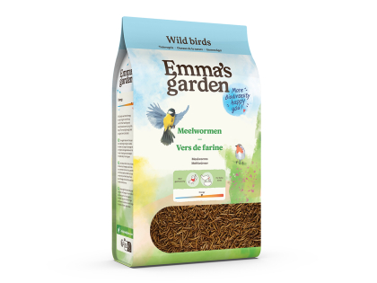 Mealworms 300g