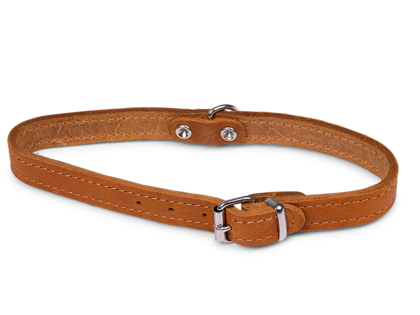 Collar oiled leather cognac 42cmx16mm M