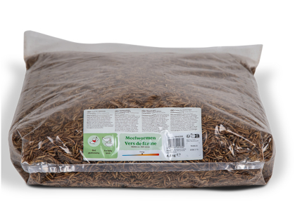 Mealworms 4,5 kg