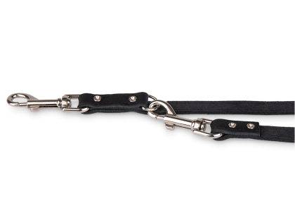 Multifunction Leash black