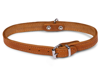 Collar oiled leather cognac 37cmx14mm S