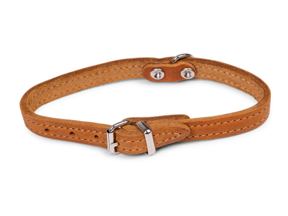 Collar oiled leather cognac 32cmx12mm XS