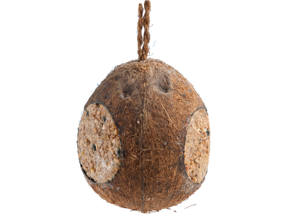 Noix de coco 350g