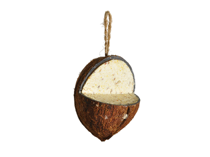 Noix de coco 3/4 350g