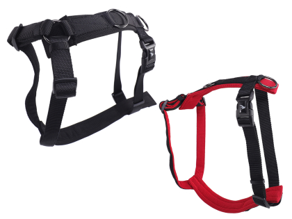 Y- Harness