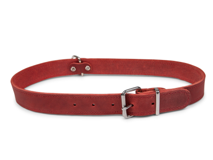 Collar oiled leather red 70cmx30mm XXL