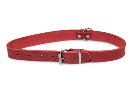 Halsband geolied leder rood 60cmx25mm XL