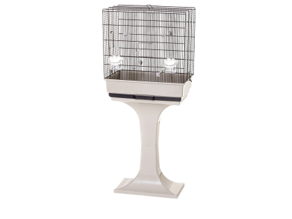 Kooi kleine vogel Moira met voet