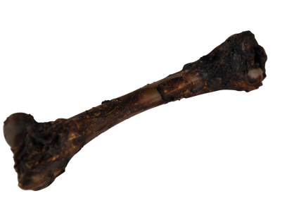 Os de cerf petit vrac