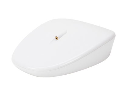 Automatic Laser Tail toy