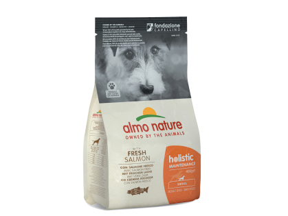 HOLISTIC S - Salmon and rice 400g