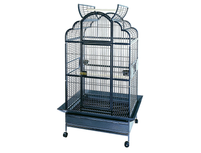 Cage parrot Emperor