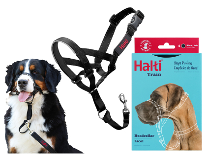 HALTI Headcollar zwart 5