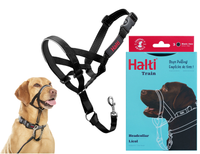 HALTI Headcollar zwart 3