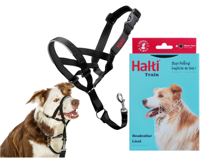 HALTI Headcollar zwart 2