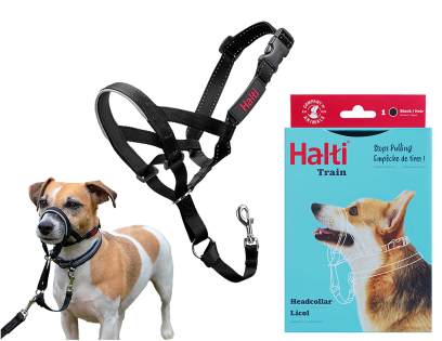 HALTI Headcollar zwart 1