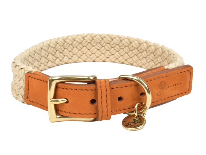 Dog collar Tau light brown 40cmx25mm S