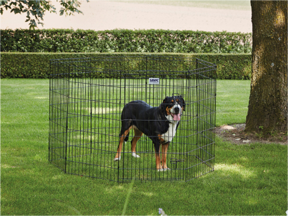 Dog Park 3 zwart