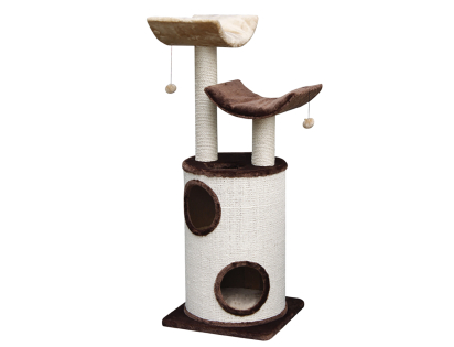 Cat climber Kadi