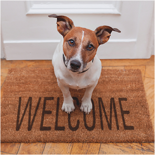 Carte voeux 3D Welcome Dog
