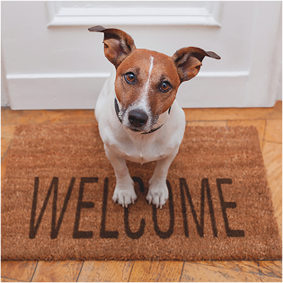 3D Wenskaart Welcome Dog
