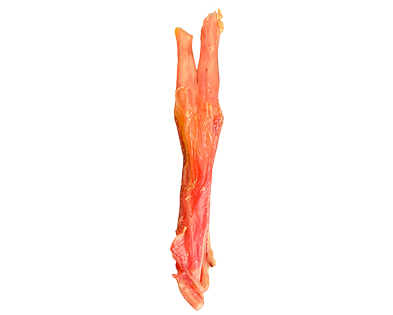 Beef Achilles tendon (labelled)