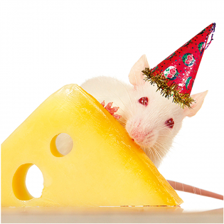 3D Greeting Card Mouse Party
