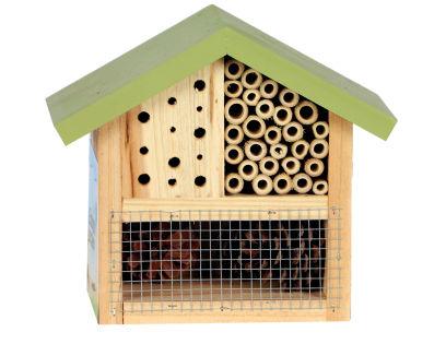 Insecten huisje Tulipe