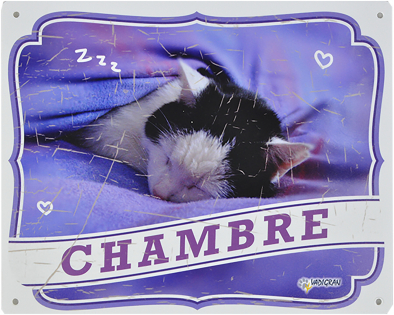 Warning sign cat Chambre