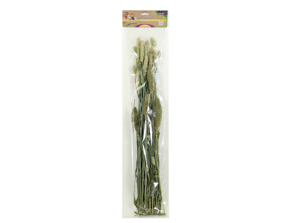 Pet Bouquet herbes des champs