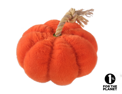 Herfst pompoen