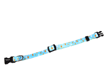 Kitten collar turquoise