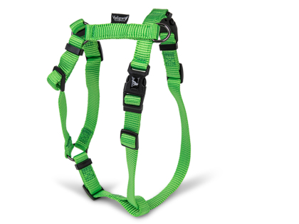 H-Harness Classic Nylon green 20-32cmx10mm XS