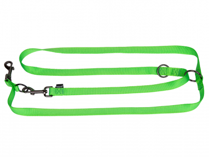 Ajustable leash Classic Nylon green 200cmx20mm L