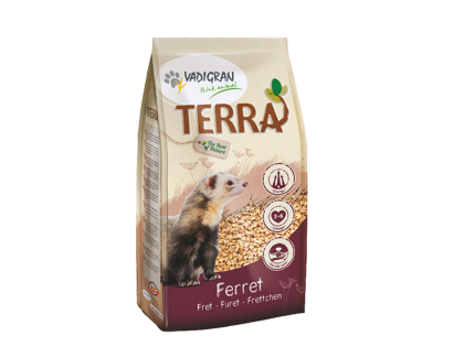 TERRA Furet