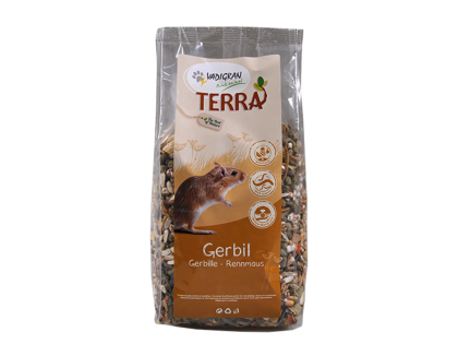 TERRA Gerbil