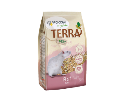 TERRA Rat