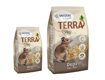 TERRA Degu