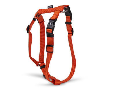 H-Harness Classic Nylon orange 56-77cmx25mm L