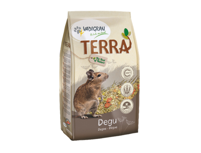 TERRA Degu 1 Kg