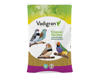 Tropische Vogels Basic