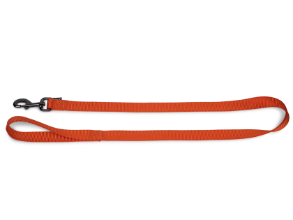 Leash Classic Nylon orange 120cmx25mm XL