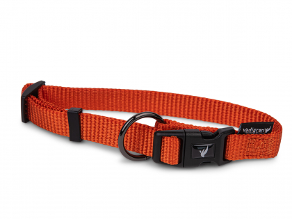 Halsband Classic Nylon oranje 50-66cmx25mm XL