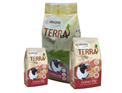 TERRA Cavia